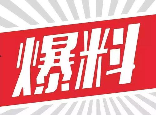 玖富24号最新爆料新闻,揭秘金融科技巨头背后的秘密与挑战”