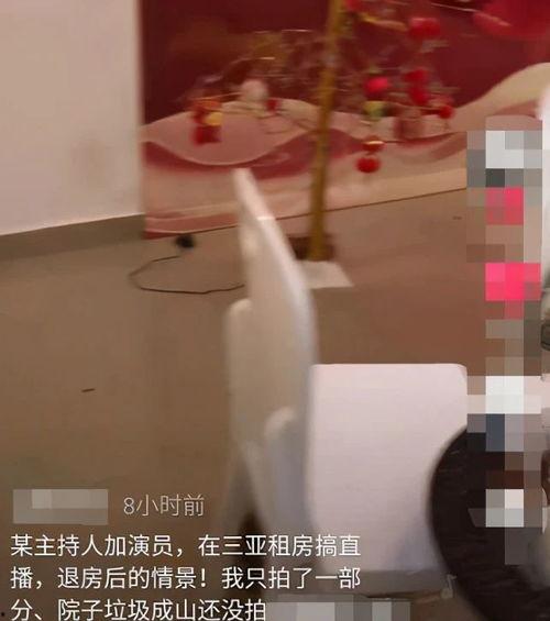 诗琪房间爆料视频完整版,揭秘明星私生活细节