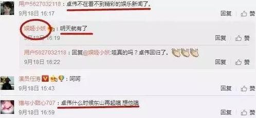 卓伟爆料明星回归视频,明星神秘回归,幕后故事大揭秘! 第3张 卓伟爆料明星回归视频,明星神秘回归,幕后故事大揭秘! 第3张